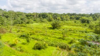Djalanweg 111- Groningen- Saramacca- Suriname- Surgoed Makelaardij NV- KW01405 (35)