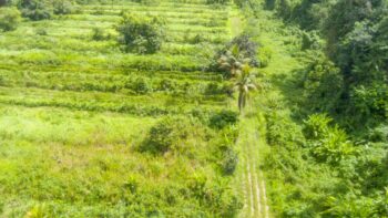 Djalanweg 111- Groningen- Saramacca- Suriname- Surgoed Makelaardij NV- KW01405 (37)