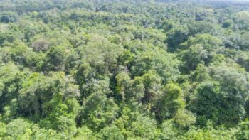 Djalanweg 111- Groningen- Saramacca- Suriname- Surgoed Makelaardij NV- KW01405 (40)