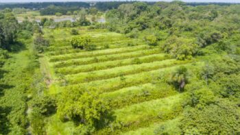 Djalanweg 111- Groningen- Saramacca- Suriname- Surgoed Makelaardij NV- KW01405 (42)