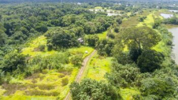 Djalanweg 111- Groningen- Saramacca- Suriname- Surgoed Makelaardij NV- KW01405 (47)