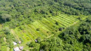 Djalanweg 111- Groningen- Saramacca- Suriname- Surgoed Makelaardij NV- KW01405 (49)