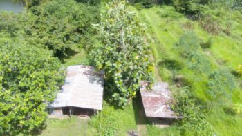 Djalanweg 111- Groningen- Saramacca- Suriname- Surgoed Makelaardij NV- KW01405 (56)