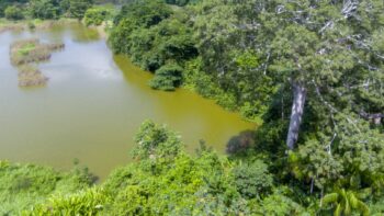 Djalanweg 111- Groningen- Saramacca- Suriname- Surgoed Makelaardij NV- KW01405 (58)