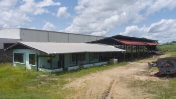 Duisburglaan 59- Beekhuizen- Paramaribo- Suriname- Surgoed Makelaardij N.V- KP01415 (4)