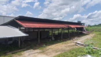 Duisburglaan 59- Beekhuizen- Paramaribo- Suriname- Surgoed Makelaardij N.V- KP01415 (5)