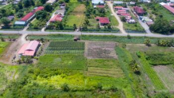 Henri Fernandesweg 373- Kwatta- Paramaribo- Suriname- Surgoed Makelaardij N.V- KP01384 (5)