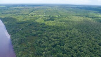 Voorland Plantage Marienbosch- Commewijne- Suriname- Surgoed Makelaardij N.V- KP01400 (10)