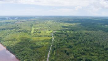 Voorland Plantage Marienbosch- Commewijne- Suriname- Surgoed Makelaardij N.V- KP01400 (12)