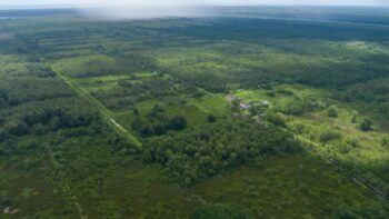 Voorland Plantage Marienbosch- Commewijne- Suriname- Surgoed Makelaardij N.V- KP01400 (14)