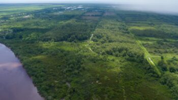 Voorland Plantage Marienbosch- Commewijne- Suriname- Surgoed Makelaardij N.V- KP01400 (15)