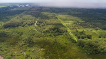 Voorland Plantage Marienbosch- Commewijne- Suriname- Surgoed Makelaardij N.V- KP01400 (17)