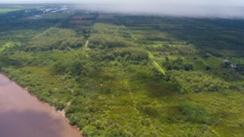 Voorland Plantage Marienbosch- Commewijne- Suriname- Surgoed Makelaardij N.V- KP01400 (18)