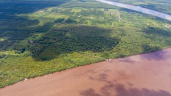 Voorland Plantage Marienbosch- Commewijne- Suriname- Surgoed Makelaardij N.V- KP01400 (3)