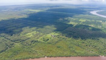 Voorland Plantage Marienbosch- Commewijne- Suriname- Surgoed Makelaardij N.V- KP01400 (4)