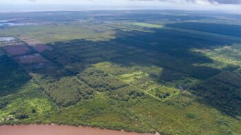 Voorland Plantage Marienbosch- Commewijne- Suriname- Surgoed Makelaardij N.V- KP01400 (5)