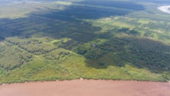 Voorland Plantage Marienbosch- Commewijne- Suriname- Surgoed Makelaardij N.V- KP01400 (6)