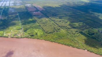 Voorland Plantage Marienbosch- Commewijne- Suriname- Surgoed Makelaardij N.V- KP01400 (8)