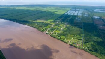 Voorland Plantage Marienbosch- Commewijne- Suriname- Surgoed Makelaardij N.V- KP01400 (9)