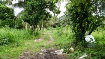 Lelydorperweg 43- Lelydorp- Wanica- Suriname- Surgoed Makelaardij N.V- KP01441 (12)