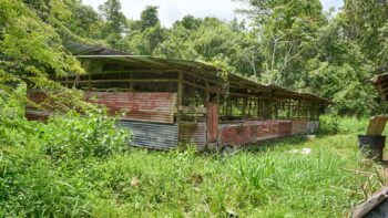 Lelydorperweg 43- Lelydorp- Wanica- Suriname- Surgoed Makelaardij N.V- KP01441 (6)