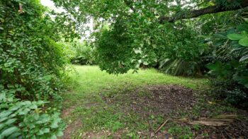 Indira Gandhiweg ALMN- Pad van Wanica- Suriname- Surgoed Makelaardij N.V- KW01442 (26)