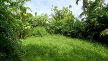 Indira Gandhiweg ALMN- Pad van Wanica- Suriname- Surgoed Makelaardij N.V- KW01442 (27)
