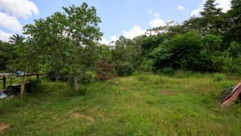 La Solitude 6C- Commewijne- Suriname- Surgoed Makelaardij N.V- KW01478 (11)