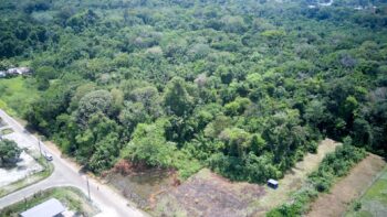 DAHLBERGSTRAAT - Onverwacht- Para- Suriname - Surgoed Makelaardij N.V- KP01493 (10)