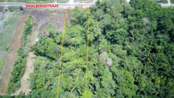 DAHLBERGSTRAAT - Onverwacht- Para- Suriname - Surgoed Makelaardij N.V- KP01493 (3)