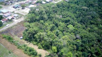 DAHLBERGSTRAAT - Onverwacht- Para- Suriname - Surgoed Makelaardij N.V- KP01493 (8)