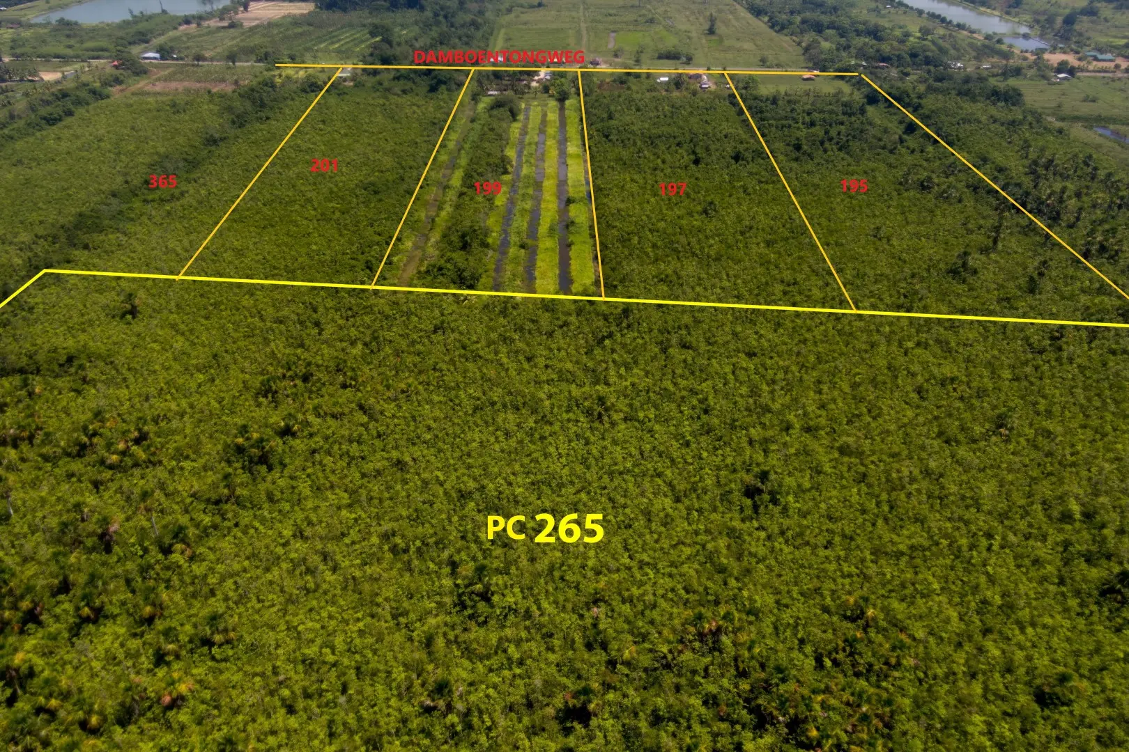 Damboentong pc 265