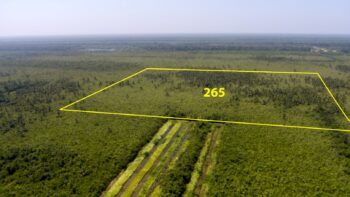 DAMBOENTONG PC 265- Tigrikreek- Saramacca- Suriname- Surgoed Makelaardij N.V- KP01470 (2)