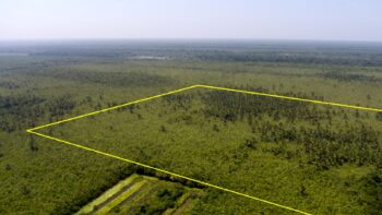 DAMBOENTONG PC 265- Tigrikreek- Saramacca- Suriname- Surgoed Makelaardij N.V- KP01470 (3)