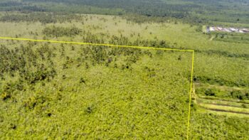 DAMBOENTONG PC 265- Tigrikreek- Saramacca- Suriname- Surgoed Makelaardij N.V- KP01470 (5)
