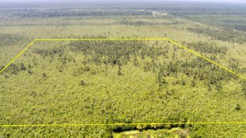 DAMBOENTONG PC 265- Tigrikreek- Saramacca- Suriname- Surgoed Makelaardij N.V- KP01470 (8)