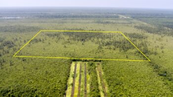 DAMBOENTONG PC 265- Tigrikreek- Saramacca- Suriname- Surgoed Makelaardij N.V- KP01470 (9)