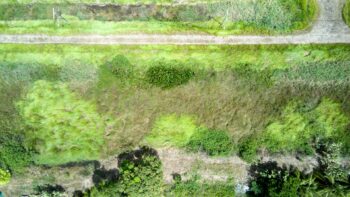 Khadimlaan- Leiding- Wanica- Suriname- Surgoed Makelaardij N.V- KP01504 (11)