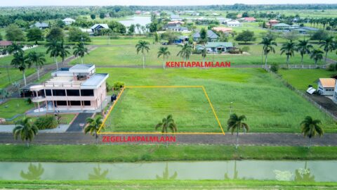 Zegellakpalmlaan pc 86