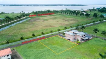 ZEGELLAKPALMLAAN 86 - Palm Village- Commewijne- Suriname- Surgoed Makelaardij N.V- KP01514 (2)