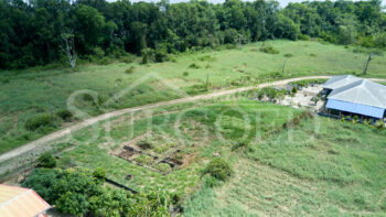 Ibisweg 48- Lieliendaal- Commewijne- Suriname- Surgoed Makelaardij N.V KP01537 (7)