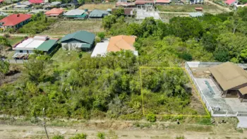 Palmboomstraat pc 1619