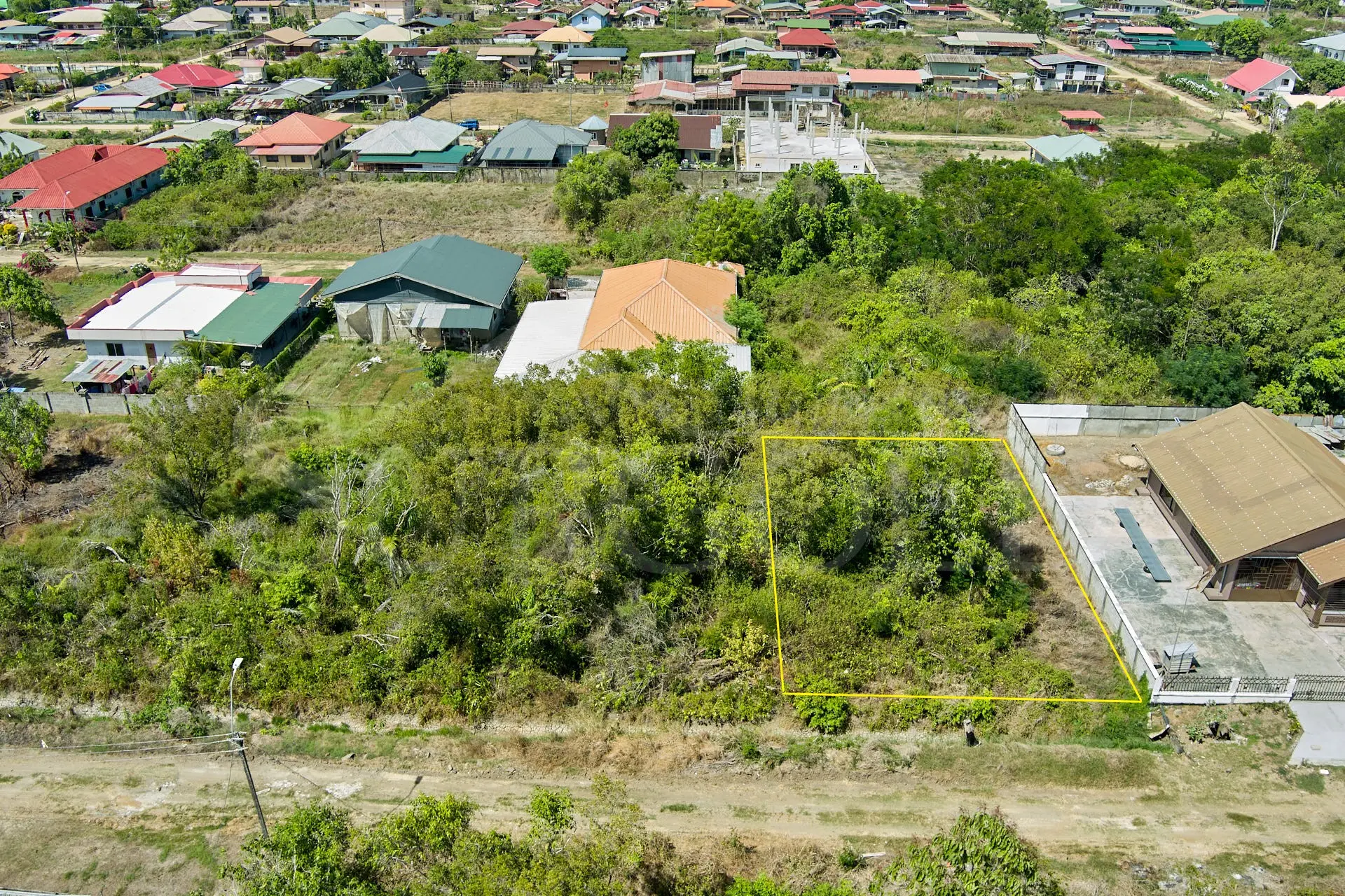 Palmboomstraat pc 1619