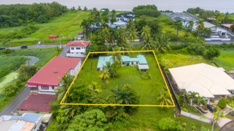 Anton Dragtenweg pc 8 – BR235