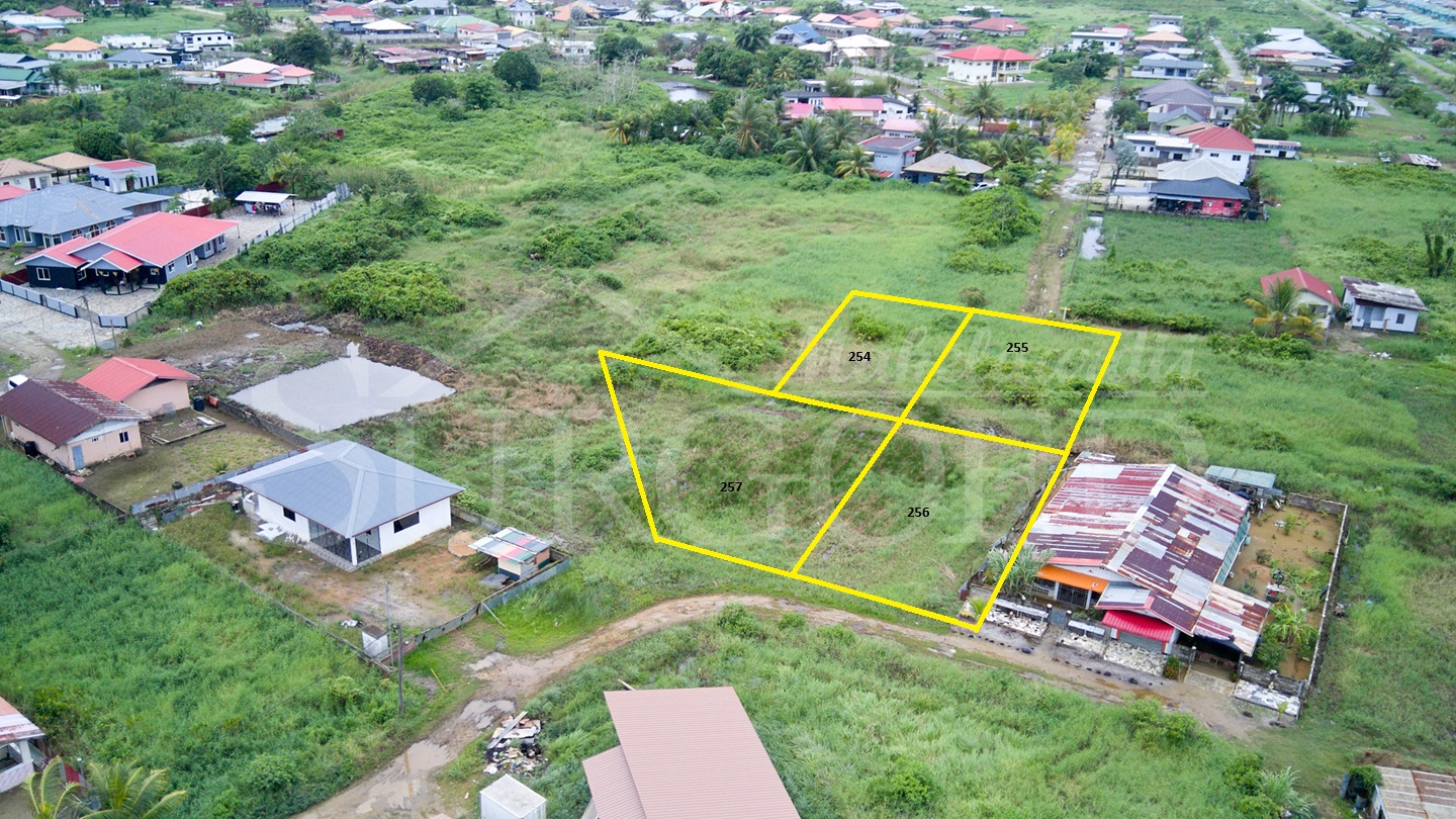 Bridge Village pc. 254, 255, 256 en 257