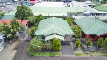 Prinsessestraat- Delphinium 4