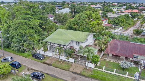 Van Drimmelenlaan 23